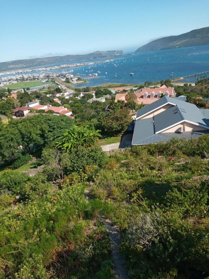 Knysna Paradise Guesthouse Dış mekan fotoğraf